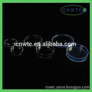 Glass Petri Dish